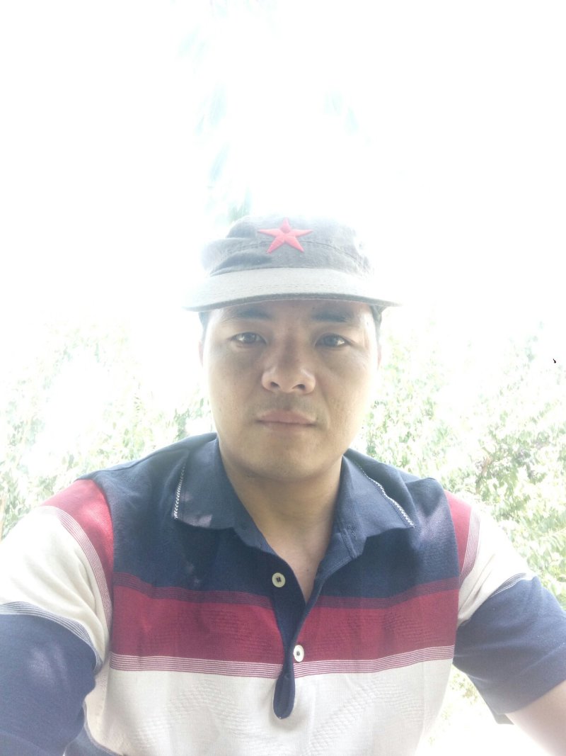 从化超甜无核沙糖桔~产地直供