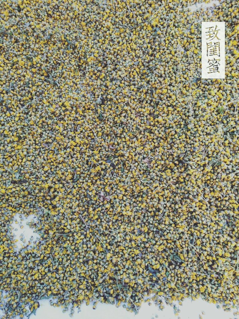 天然野菊花