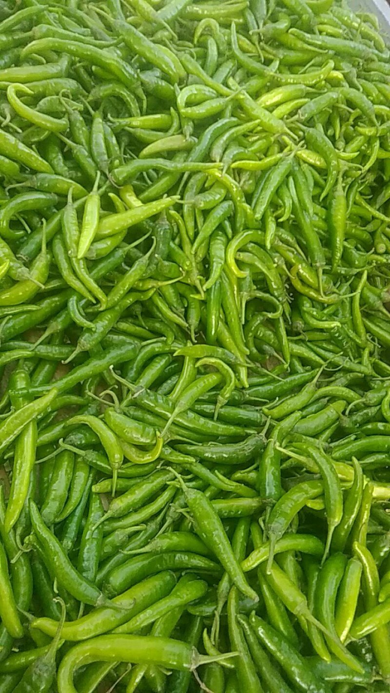 蔬菜
