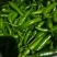 蔬菜