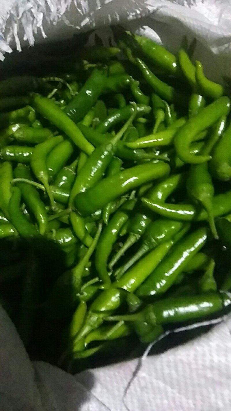 蔬菜