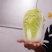 娃娃菜。精品大娃小娃。场地库房齐全。保质保量。欢迎采购。