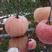 山东红富士苹果，膜袋，纸加膜，条红，片红