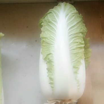 蔬菜
