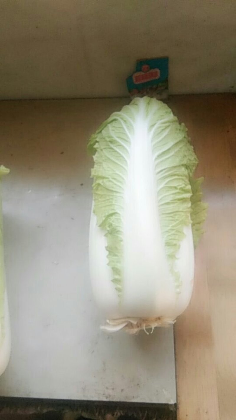蔬菜