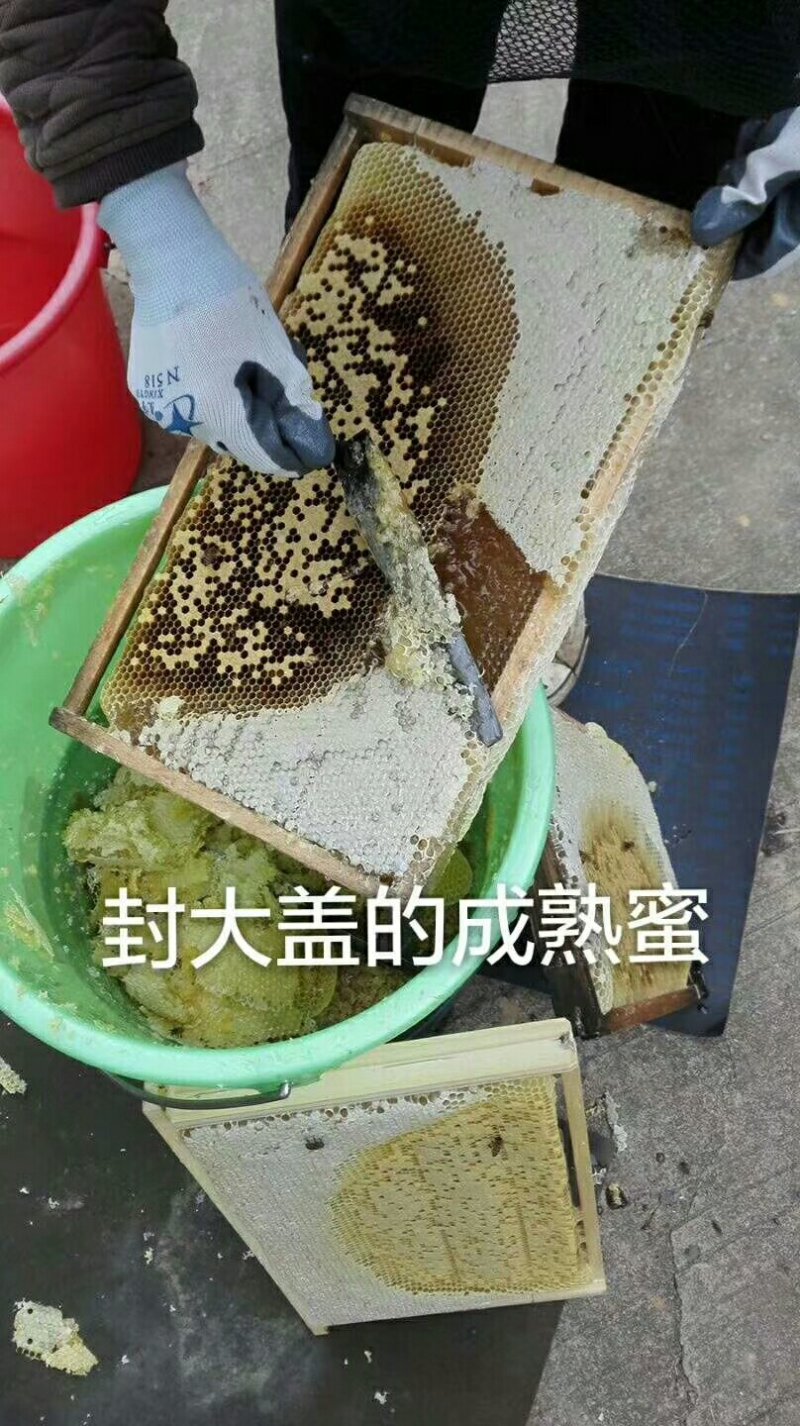 柠檬蜂蜜☞包邮