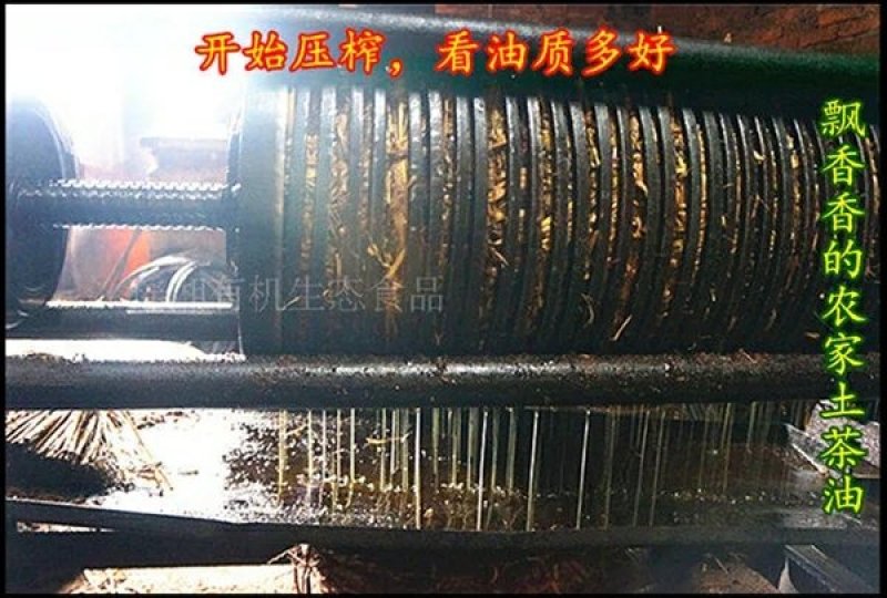 野生茶籽油