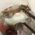 当归，新鲜货，包邮