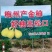 梅州金柚沙田柚柚型靓甜度高