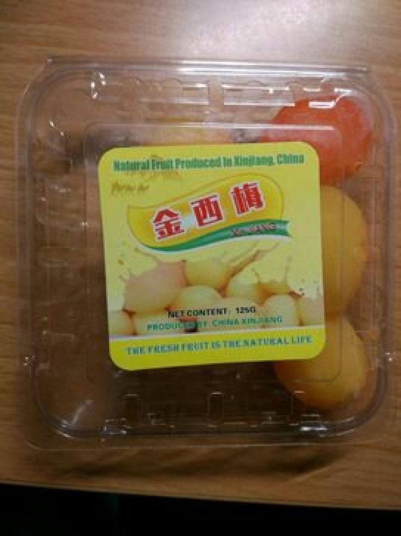西梅苗1年新品种法兰西，西梅苗木