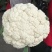 松花菜有机花菜散花菜大量上市，专业代办保质保量，供应全国