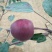 红肉苹果🍎果肉全红的苹果优质苹果