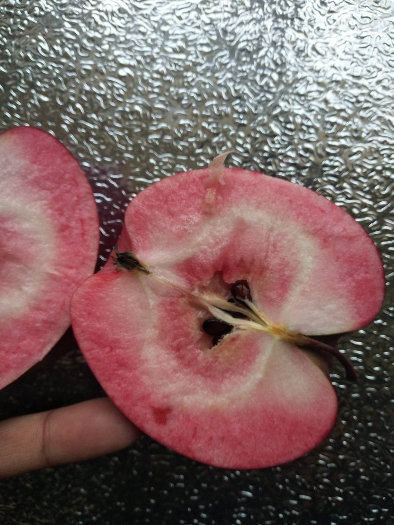 红肉苹果🍎果肉全红的苹果优质苹果