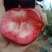 红肉苹果🍎果肉全红的苹果优质苹果