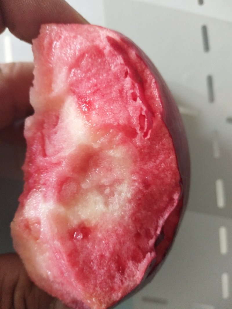 红肉苹果🍎果肉全红的苹果优质苹果