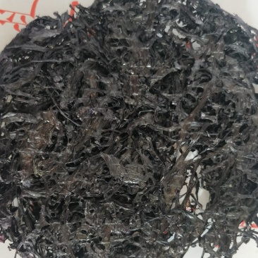 九节虾干，小管枣，海马君，鱼胶