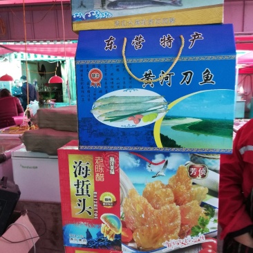 东营特产黄河刀鱼