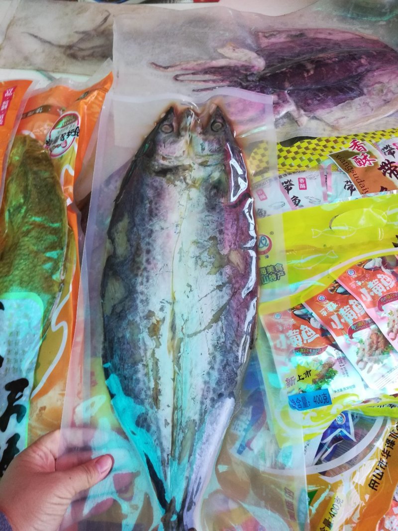 东营特产黄河刀鱼
