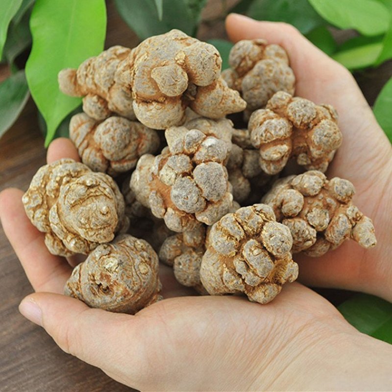 三七30头各种规格需要联系