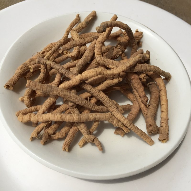 远志批发各种规格中药材