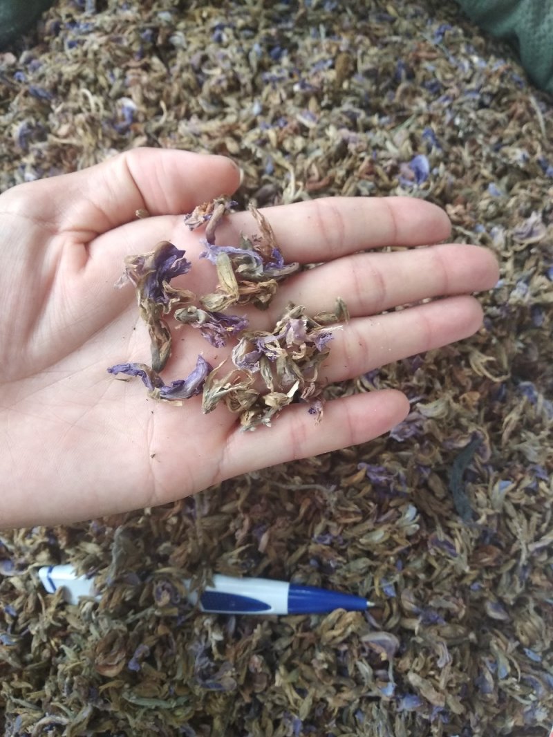 葛花无硫磺熏大葛花顔色靓