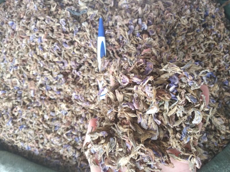 葛花无硫磺熏大葛花顔色靓