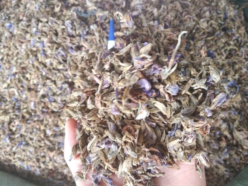葛花无硫磺熏大葛花顔色靓