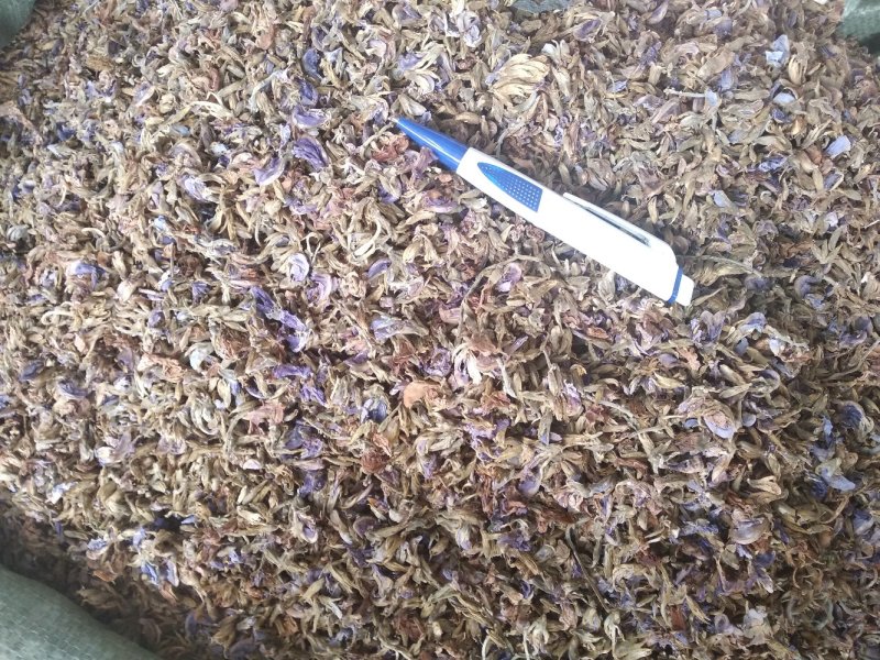 葛花无硫磺熏大葛花顔色靓