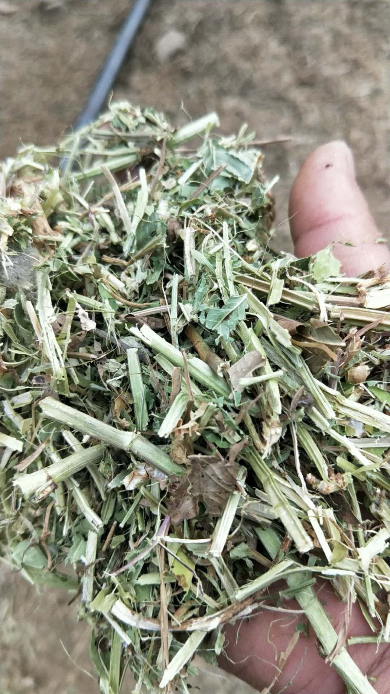 一级花生秧牛羊草，无土，无膜，无霉变，保证质量