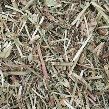 牛草羊草今年新花生秧草料干净无土无膜无霉变