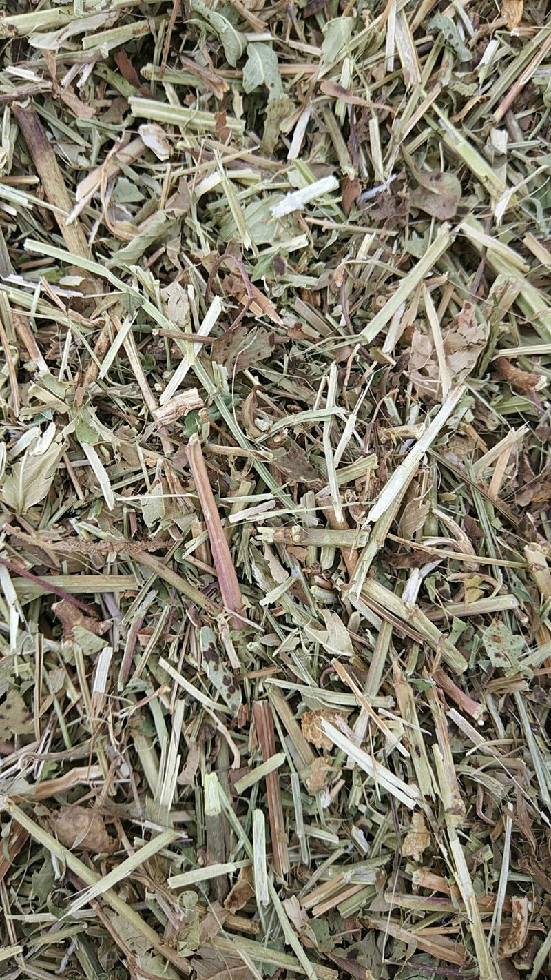 牛草羊草今年新花生秧草料干净无土无膜无霉变