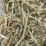 牛草羊草今年新花生秧草料干净无土无膜无霉变