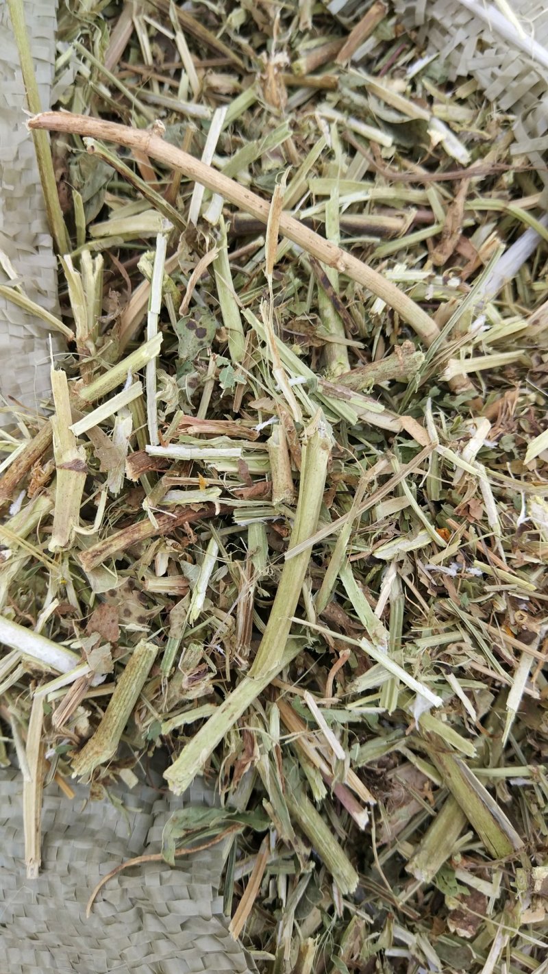 牛草羊草今年新花生秧草料干净无土无膜无霉变