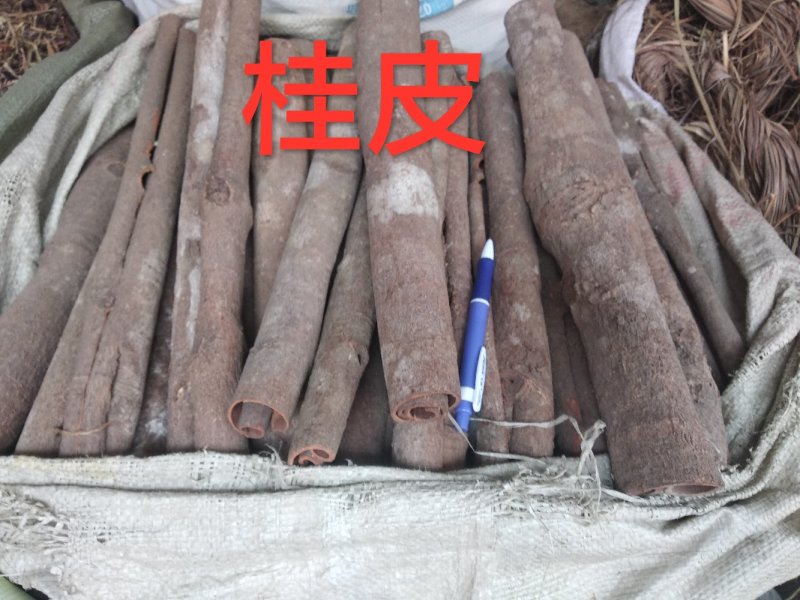 桂皮香味浓厚