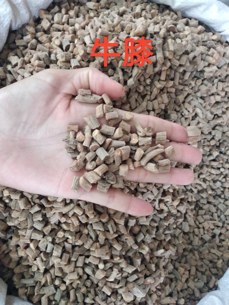 牛膝新货无硫淮牛膝牛七根茎切粒各种规格都有