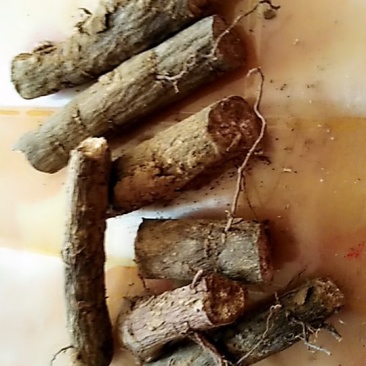 芍药