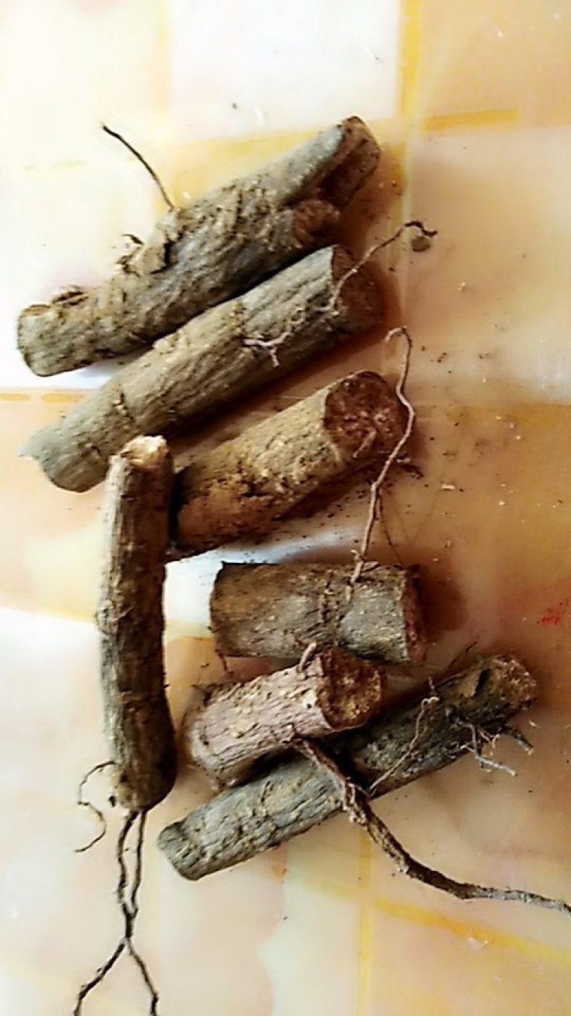 芍药