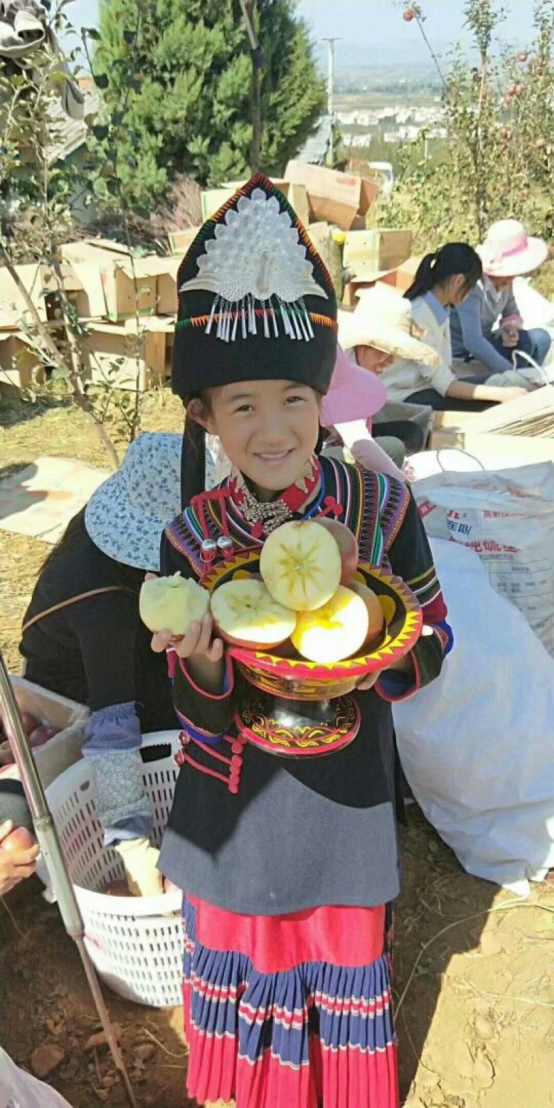 盐源苹果