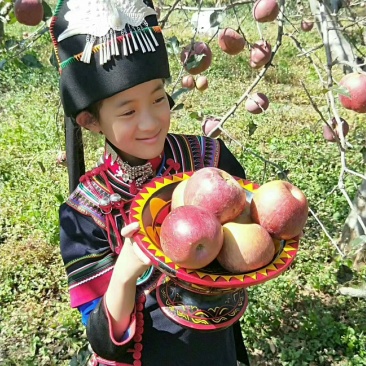 盐源苹果
