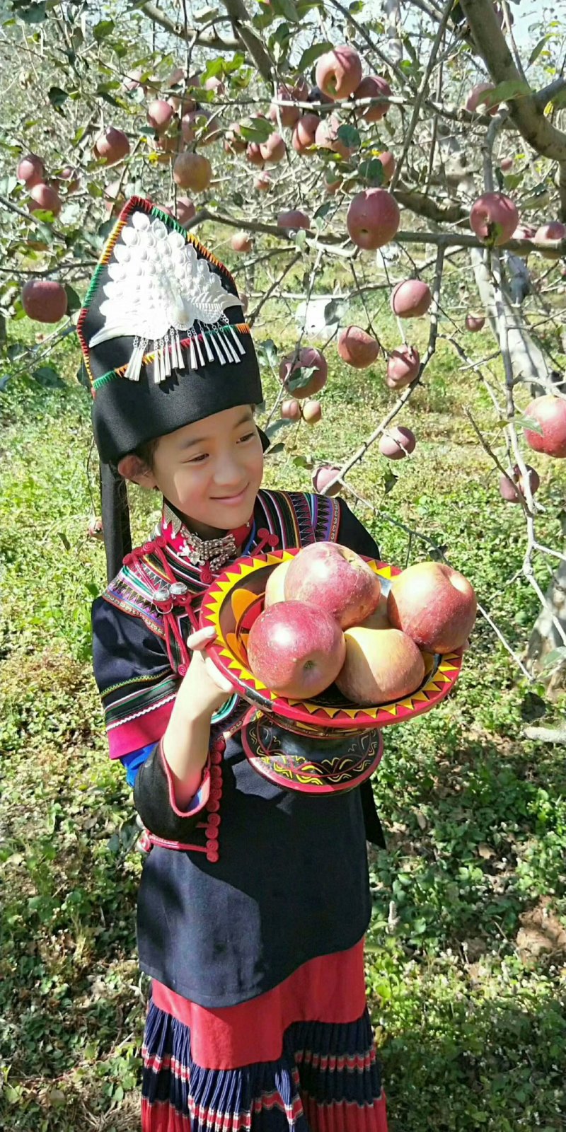 盐源苹果
