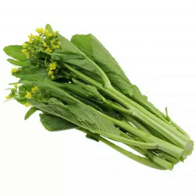 增城高脚迟菜心,12月上市