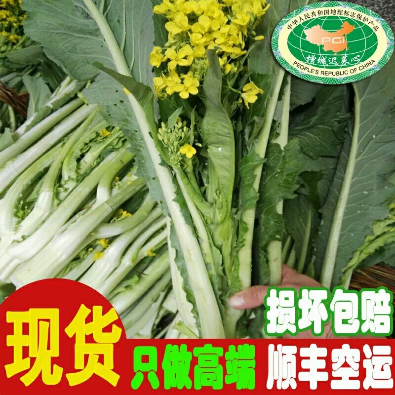 增城高脚迟菜心,12月上市