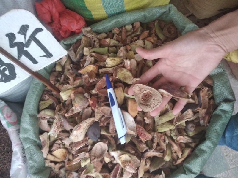 薜荔果