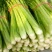 芹菜杆青黄，净根，手工干净品质好