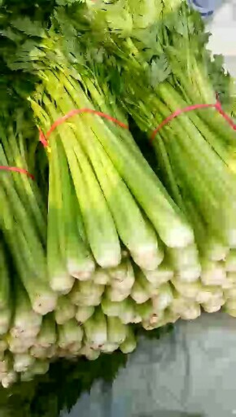 芹菜杆青黄，净根，手工干净品质好
