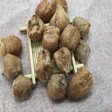 桑螵蛸熟批发各种规格中药材