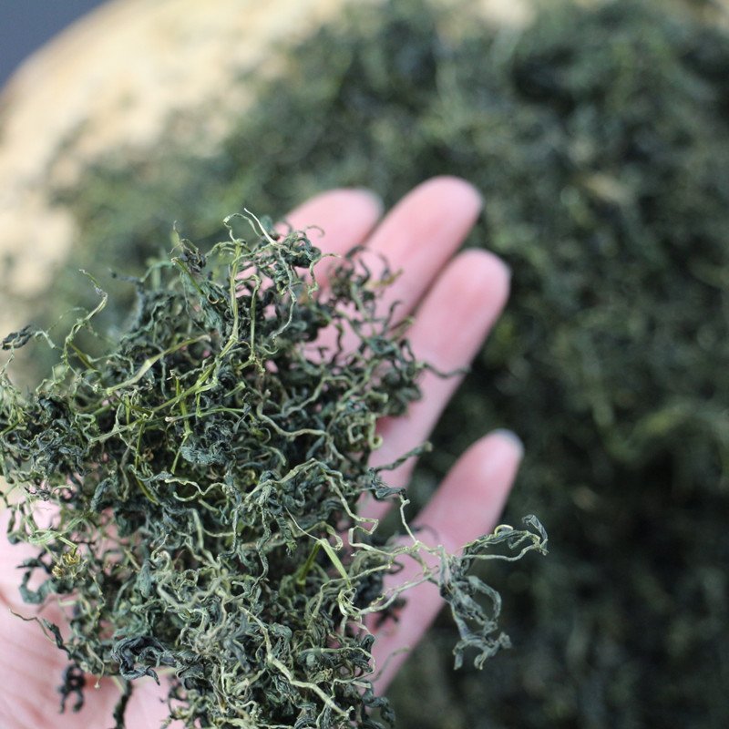 绞股蓝茶五叶，三高人群专用