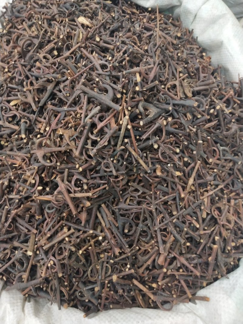 钩藤批发各种规格中药材