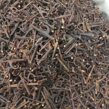 钩藤批发各种规格中药材