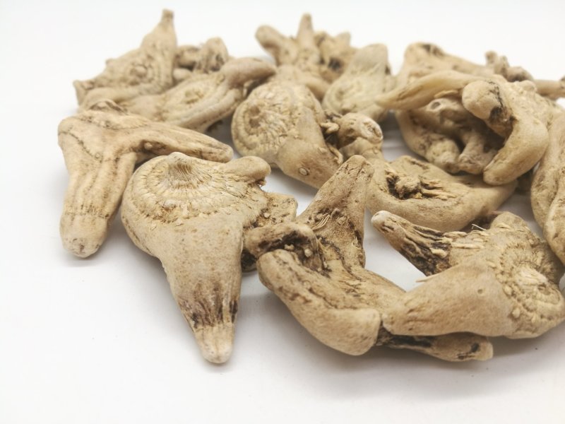 白芨三叉白芨三叉戟白芨个子